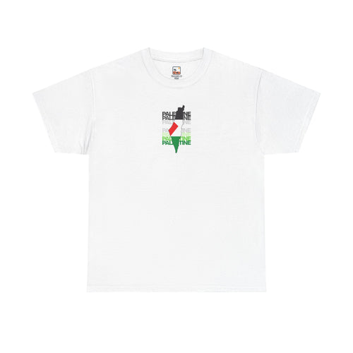 Palestine Graphic Tee, Unisex Heavy Cotton Shirt, Awareness T-Shirt, Casual Wear, Gift for Activists