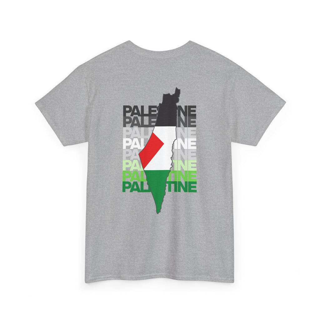 Palestine Graphic Tee, Unisex Heavy Cotton Shirt, Awareness T-Shirt, Casual Wear, Gift for Activists