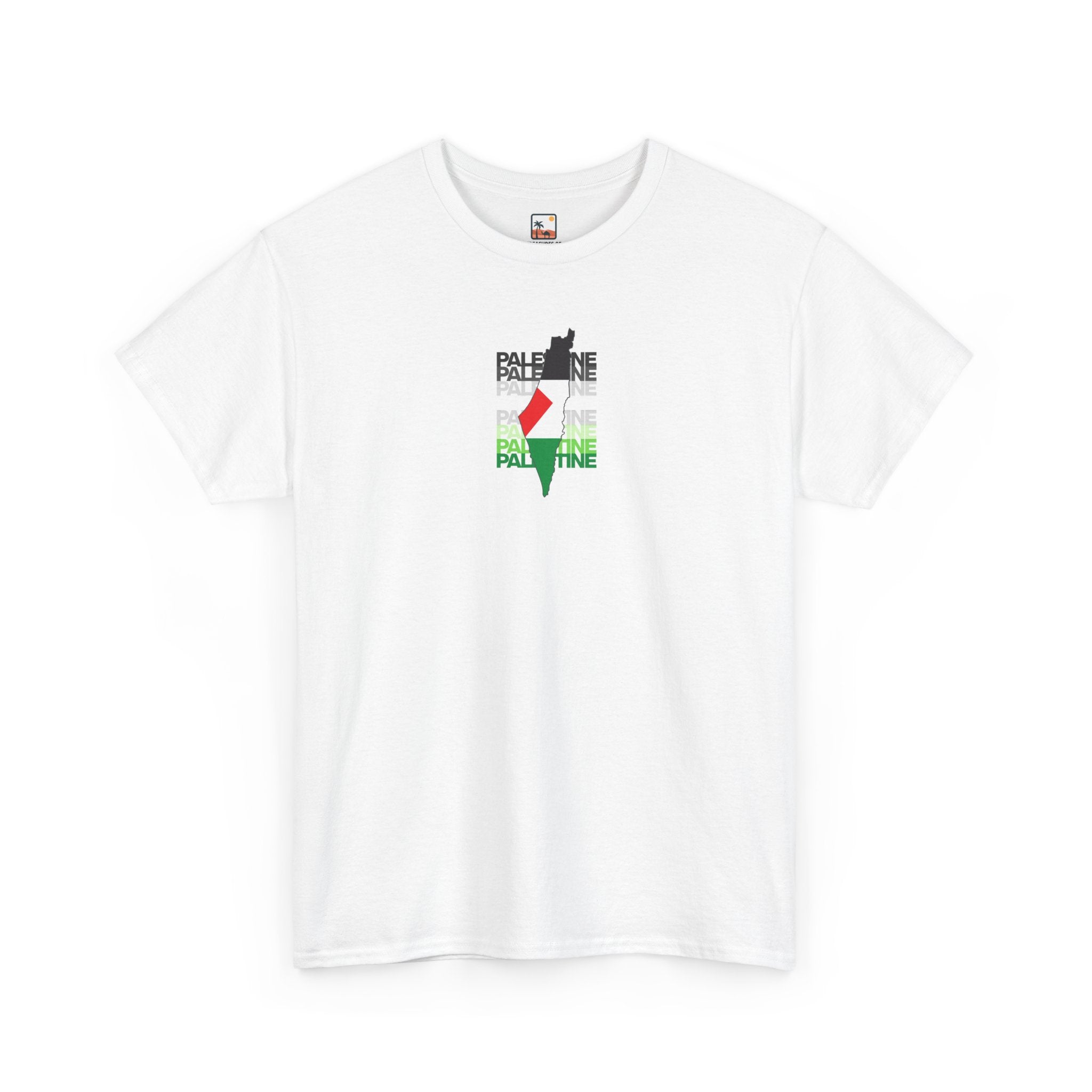 Palestine Graphic Tee, Unisex Heavy Cotton Shirt, Awareness T-Shirt, Casual Wear, Gift for Activists