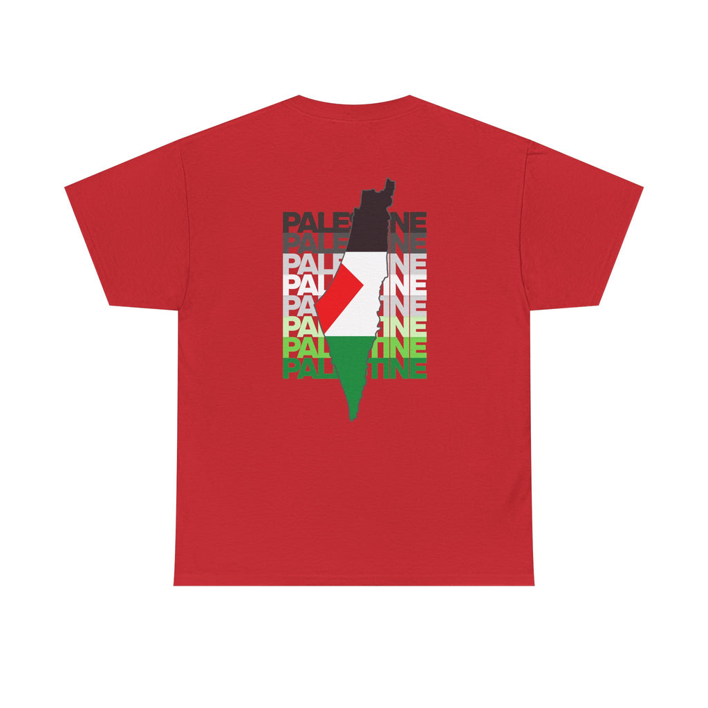 Palestine Graphic Tee, Unisex Heavy Cotton Shirt, Awareness T-Shirt, Casual Wear, Gift for Activists