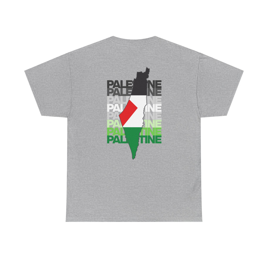 Palestine Graphic Tee, Unisex Heavy Cotton Shirt, Awareness T-Shirt, Casual Wear, Gift for Activists