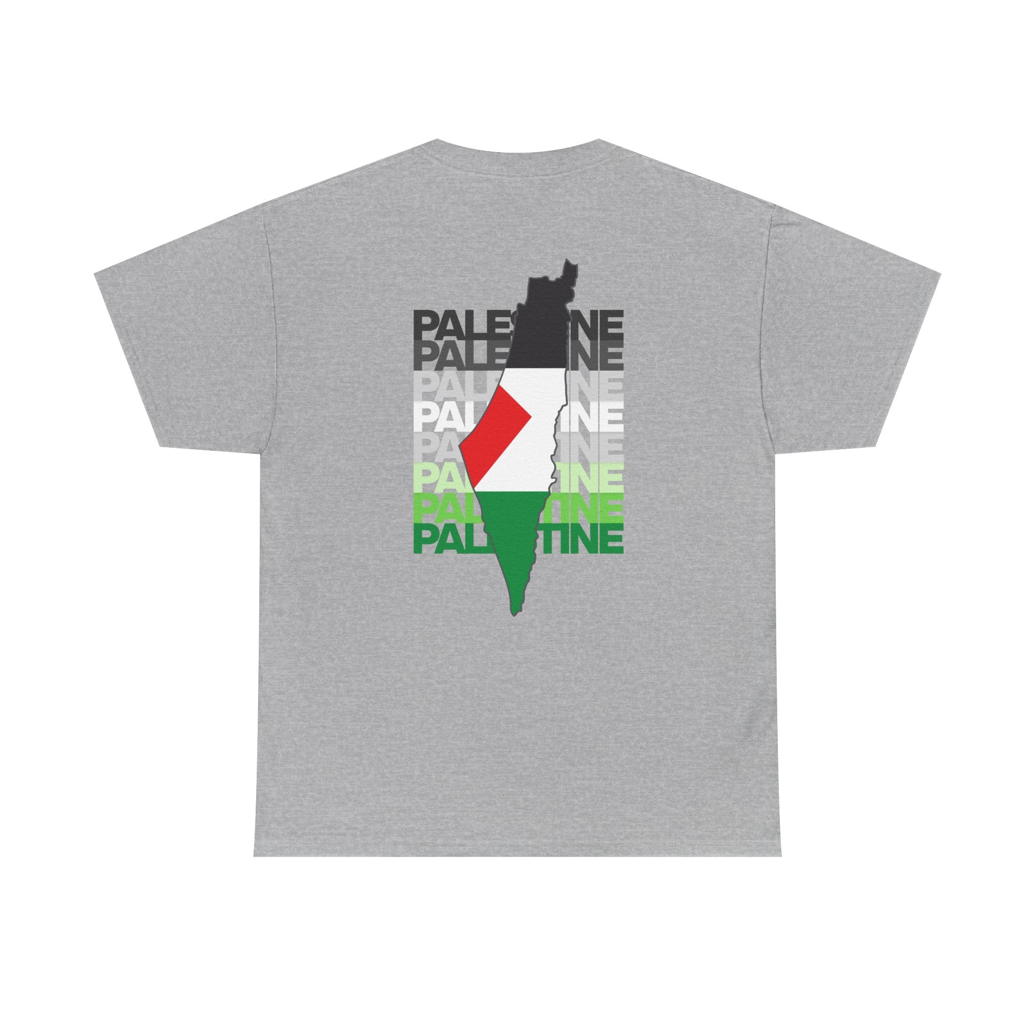 Palestine Graphic Tee, Unisex Heavy Cotton Shirt, Awareness T-Shirt, Casual Wear, Gift for Activists