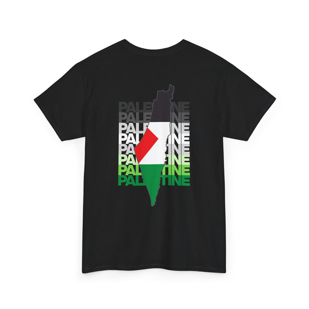 Palestine Graphic Tee, Unisex Heavy Cotton Shirt, Awareness T-Shirt, Casual Wear, Gift for Activists