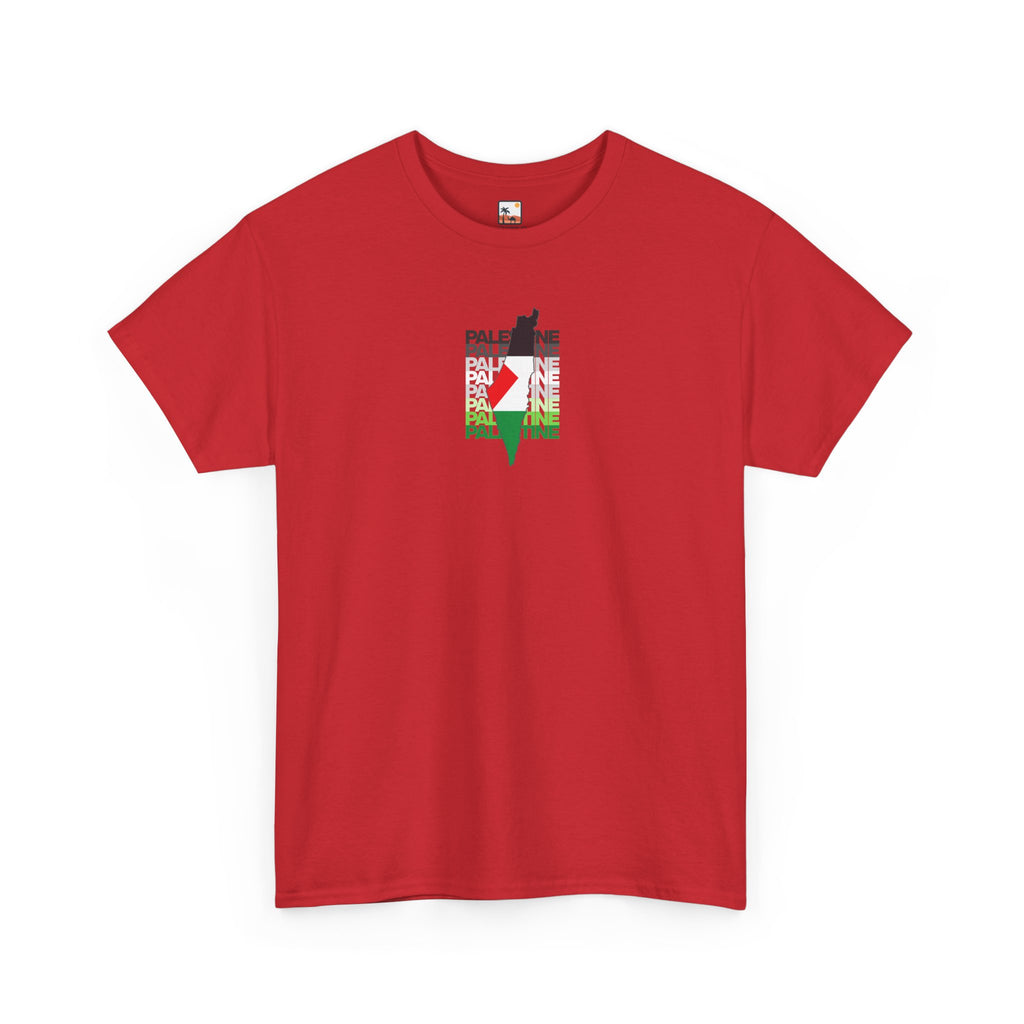 Palestine Graphic Tee, Unisex Heavy Cotton Shirt, Awareness T-Shirt, Casual Wear, Gift for Activists