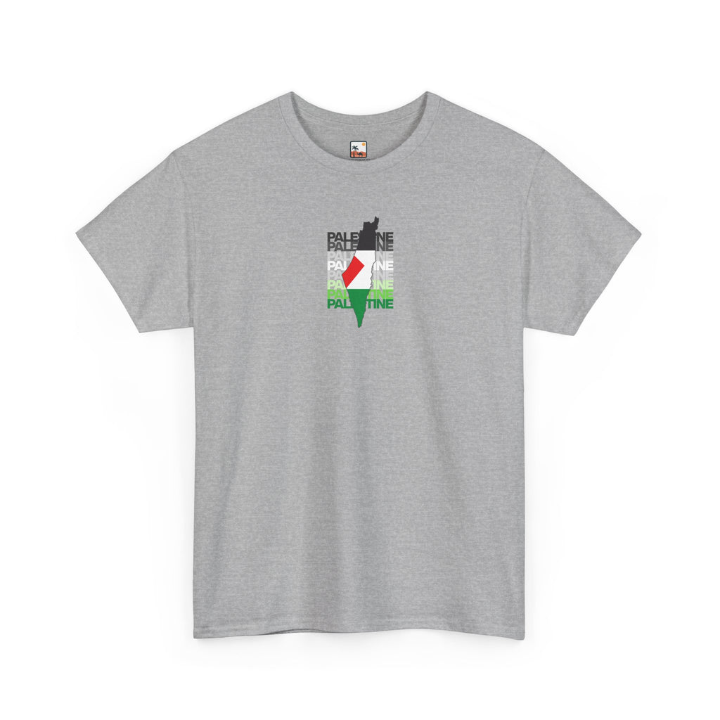 Palestine Graphic Tee, Unisex Heavy Cotton Shirt, Awareness T-Shirt, Casual Wear, Gift for Activists