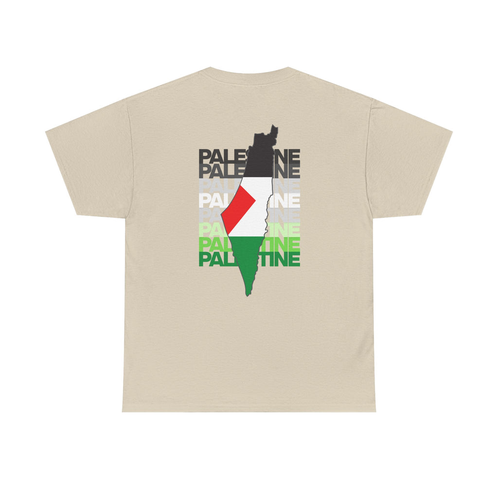 Palestine Graphic Tee, Unisex Heavy Cotton Shirt, Awareness T-Shirt, Casual Wear, Gift for Activists